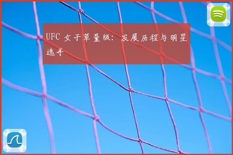 UFC 女子草量级：发展历程与明星选手